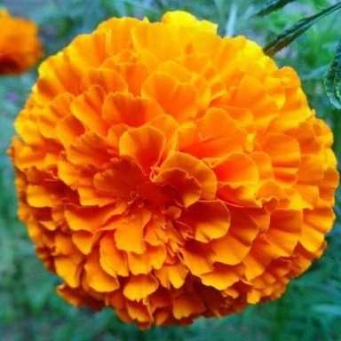 1699077242964.webp