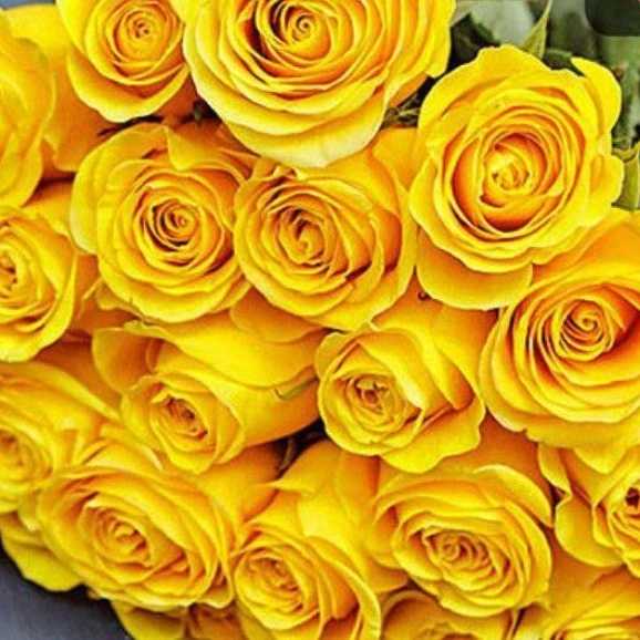1699077316160.webp