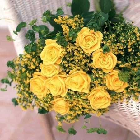 1699077316451.webp