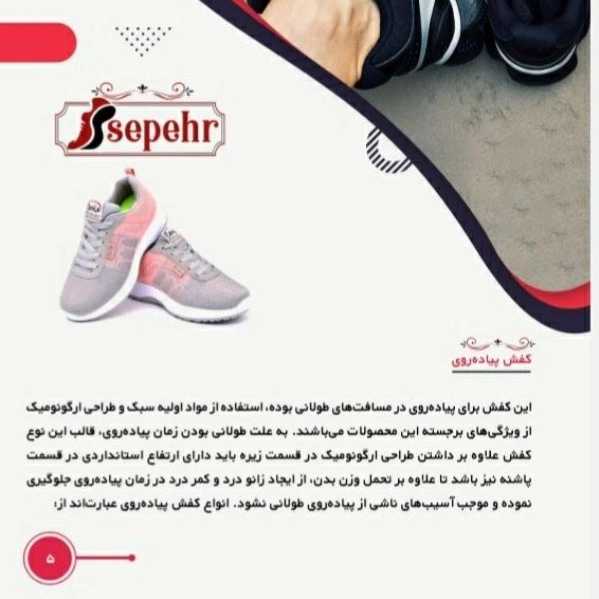 1699264112817.webp