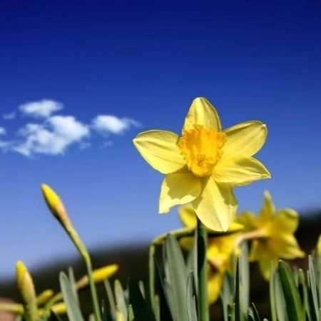 1699682809072.webp