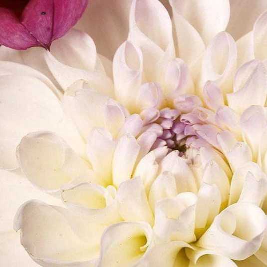 1699682948920.webp
