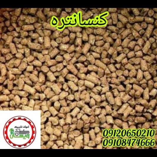 1700026534542.webp