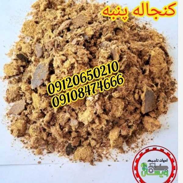 1700285230269.webp