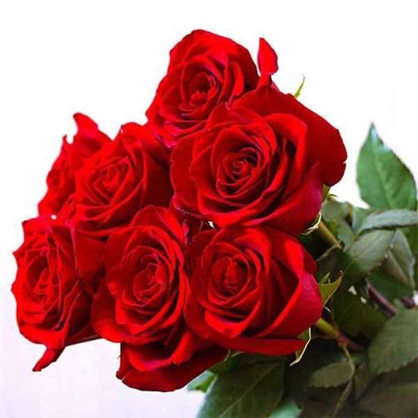 1701510871154.webp