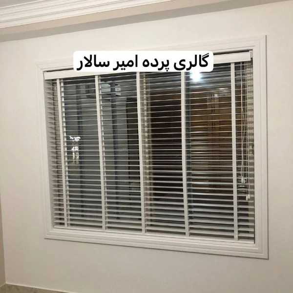 1704174323116.webp