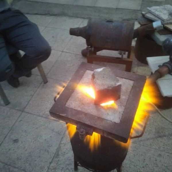 فرن النبات الجرافيتي