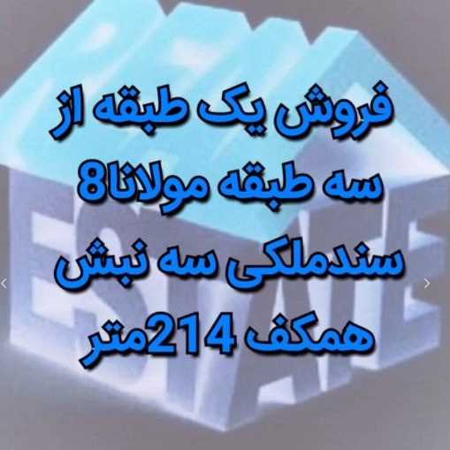 1716726852231.webp