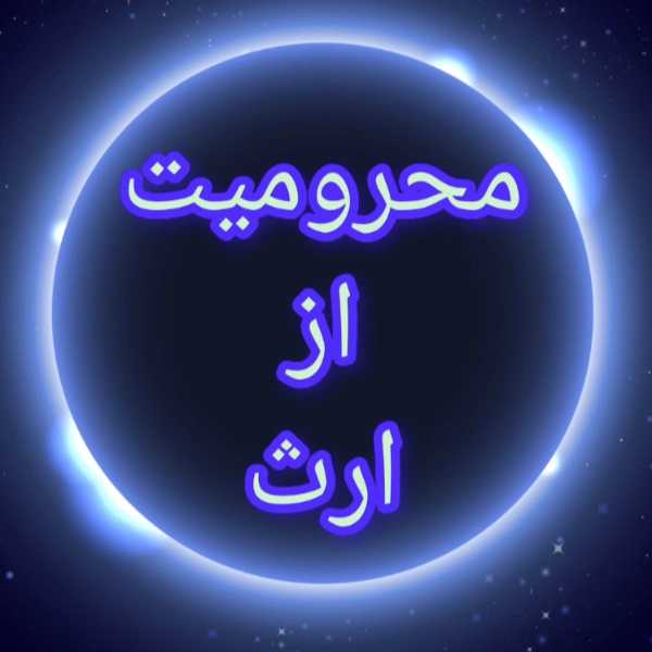1718523320939.webp