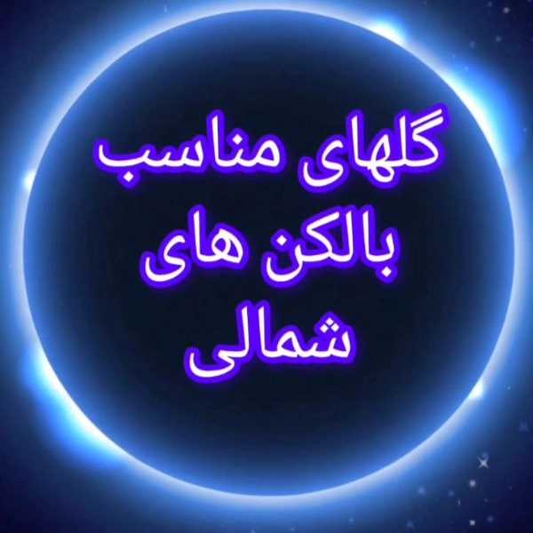 1719047954609.webp