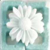 1719255367850.webp