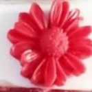 1719350068560.webp