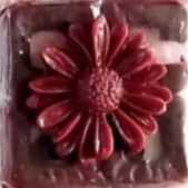 1719350126505.webp