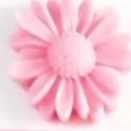 1719350657038.webp