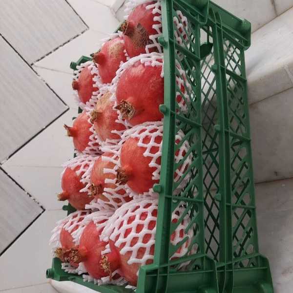 1720678033390.webp