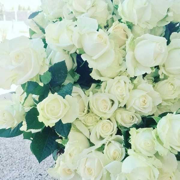 1723101328244.webp
