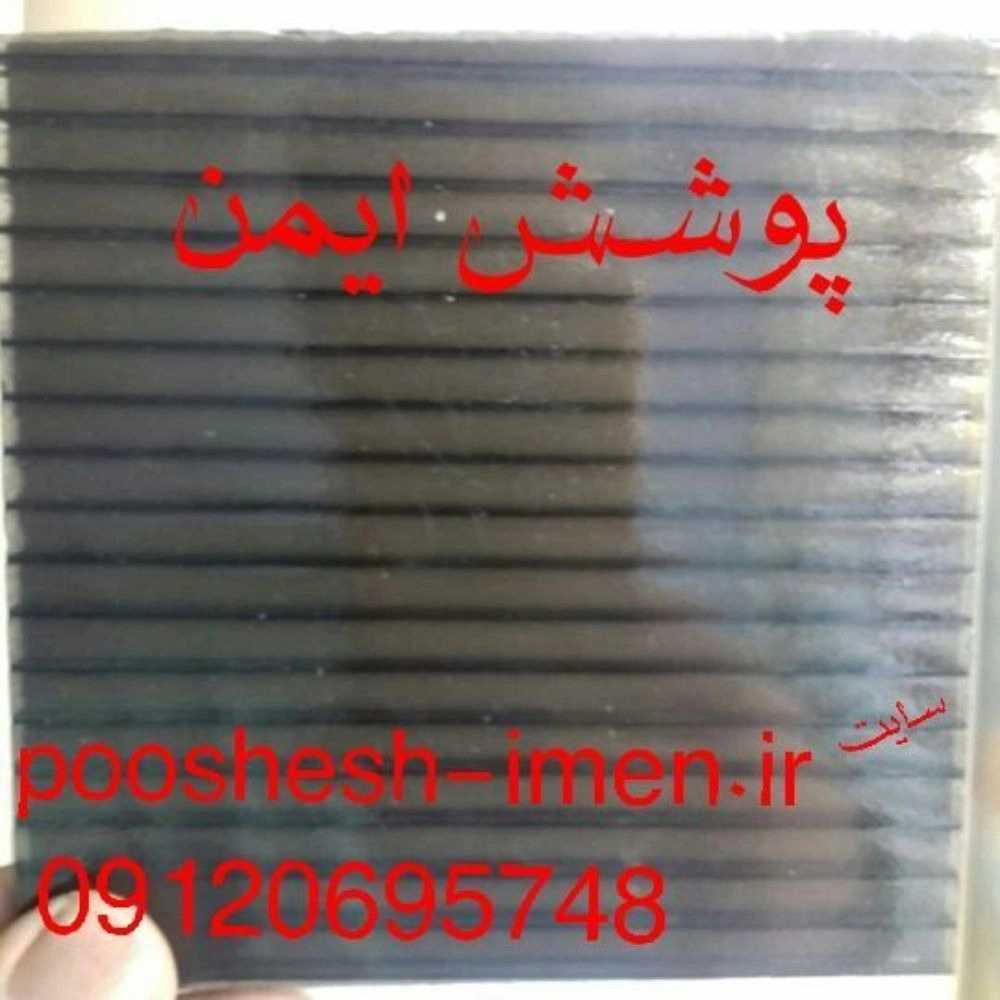 1726316486548.webp