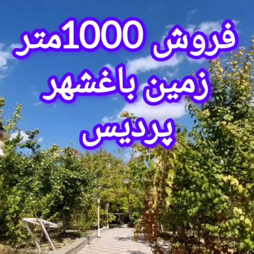 1732258566722.webp