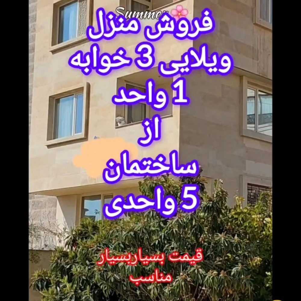 1733255459821.webp