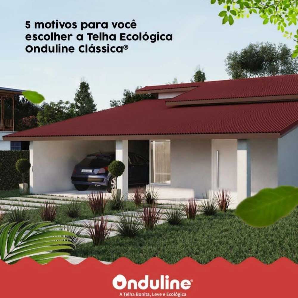 1736401977710.webp