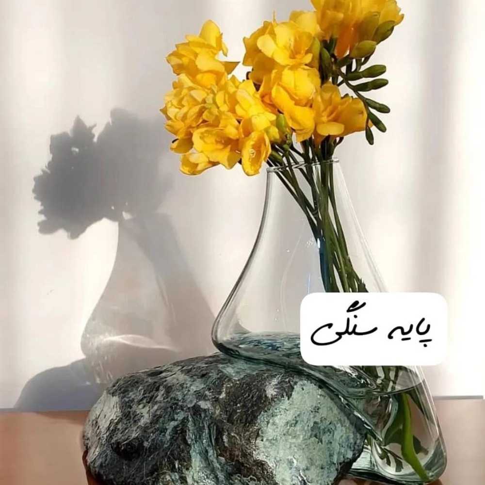 1739867391555.webp