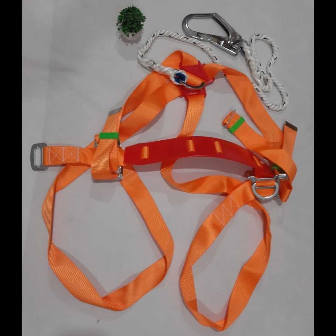 1740138902588.webp