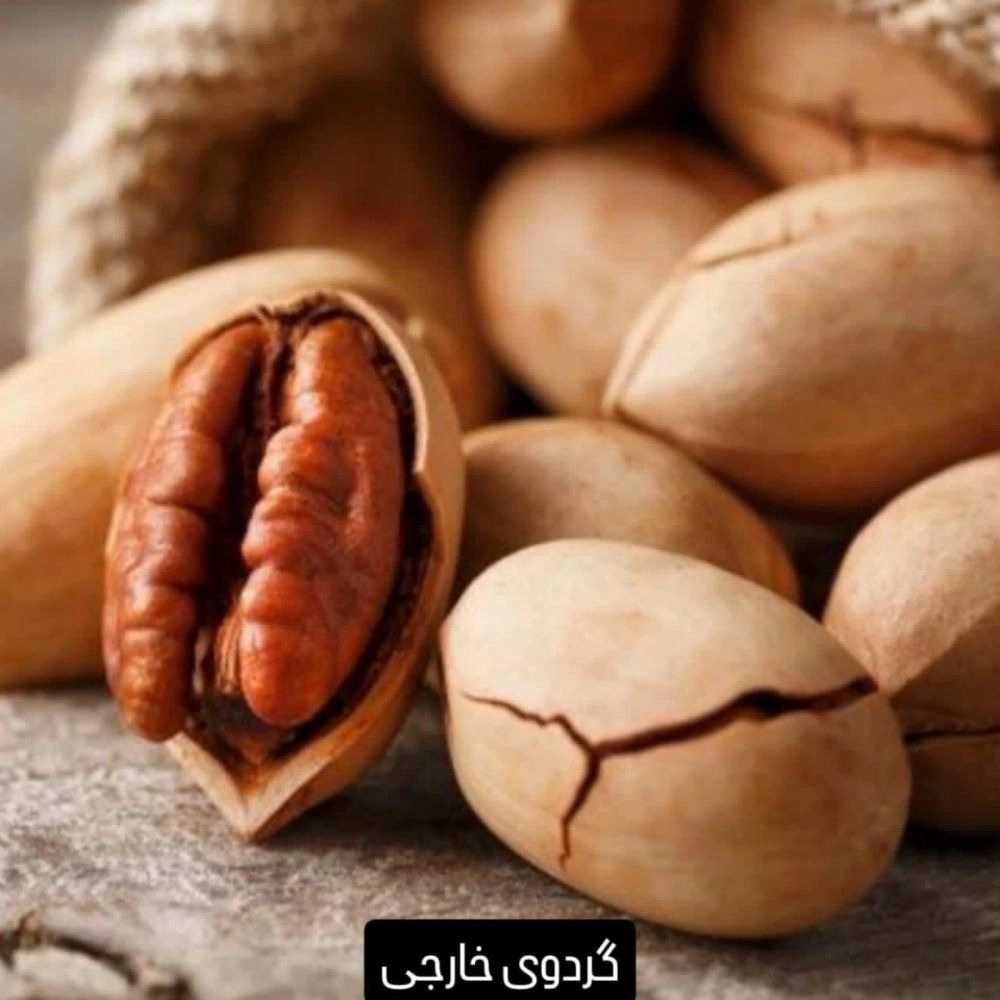 1758437867059.webp