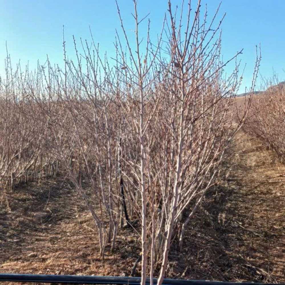 1771847719683.webp