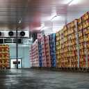 Storing all kinds of fruit in Valiasr cold store in Maragheh