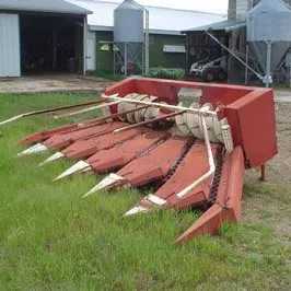1697538684457.webp