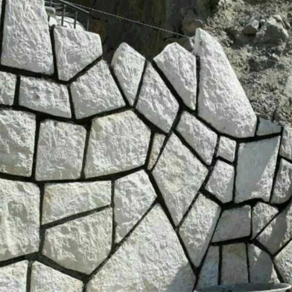 1698911747852.webp