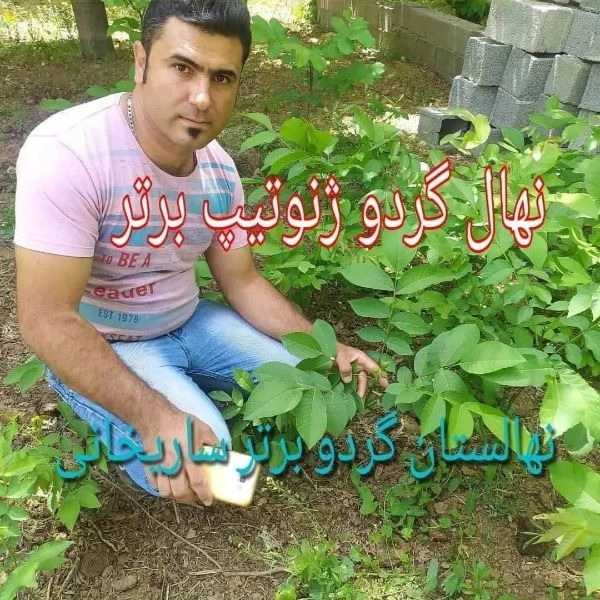 1699186555407.webp