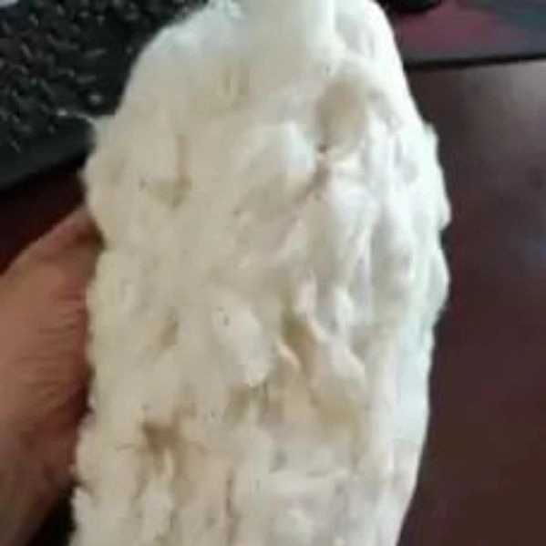 1699346348937.webp