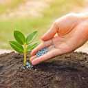 Ofog Sabzeiranian Company produces complete organic granular fertilizer in Tehran, Pakdasht