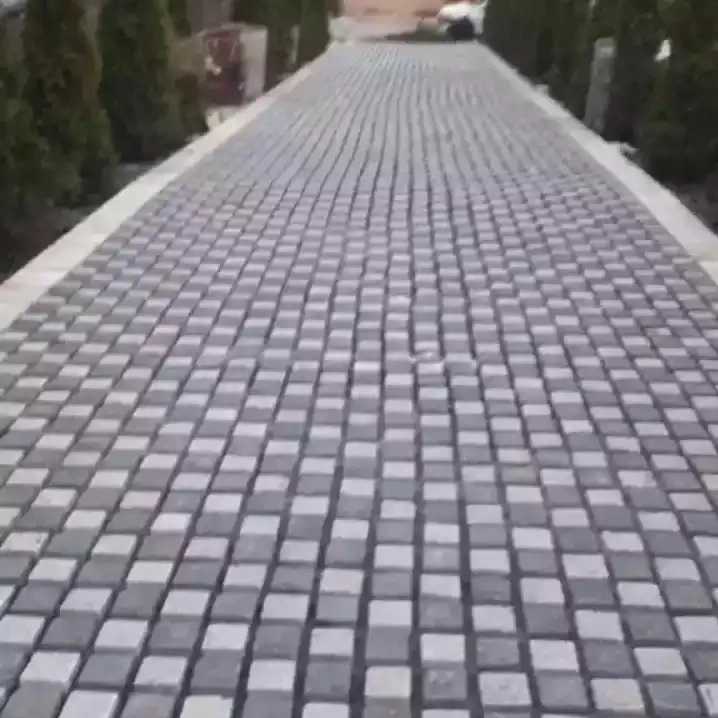 1699888359351.webp