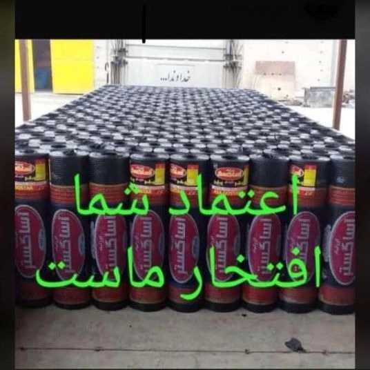 1700481810083.webp