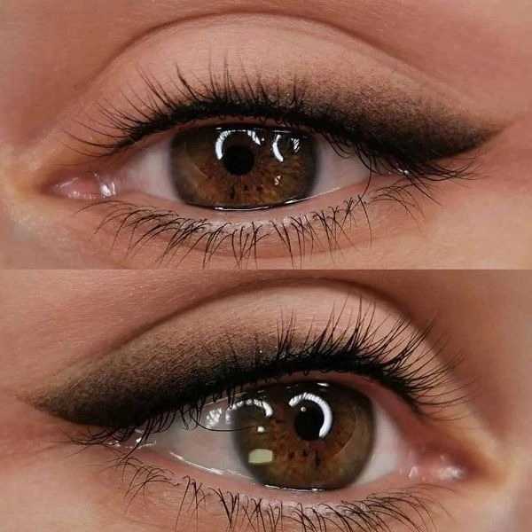 1700979338306.webp