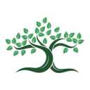Production and sale of transplanted seedlings of Babak Nosrati in Miandoab