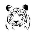 White tiger peacock motorcycle spare parts store in Isfahan
