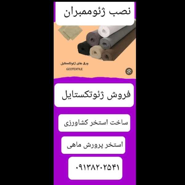 1703753490076.webp