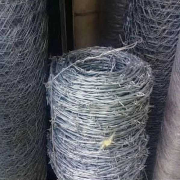 1704964190189.webp