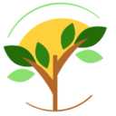 Sale of walnut seedlings and Yashil nursery in Miandoab
