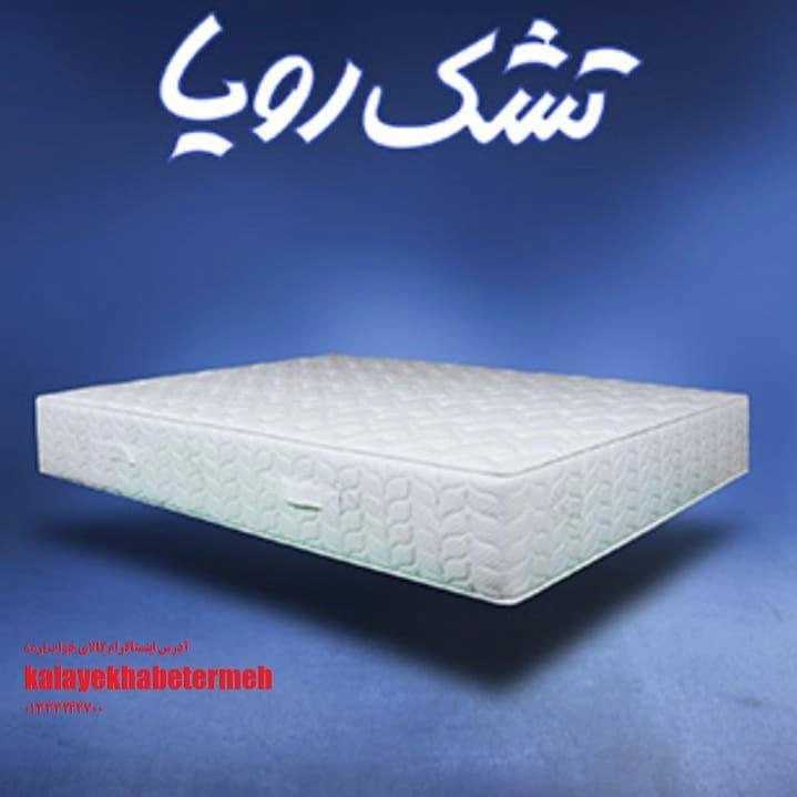 1707126926436.webp