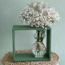 Production and sale of flower boxes SS boxes in Marvdasht