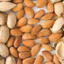 Wholesale sale and export of Bahalu tree almonds in Tehran