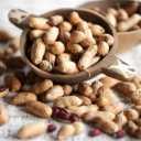Wholesale sale and export of Heydari Tabriz peanuts