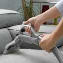 Art sofa and carpet cleaning in Anzali