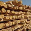 Buying and selling fir wood in Kermanshah