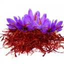 Selling saffron 101 in Shahanjrin, Hamadan