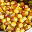 Azar Amir palm date washing and packing company in Tabriz